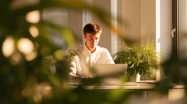 Young professional working on a laptop in a sunlit office, Office worker