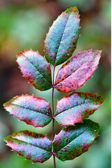 green leaf on a green background
