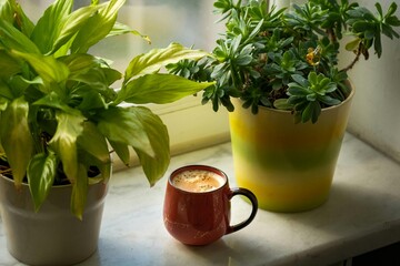 flower in a glass flower in a glass