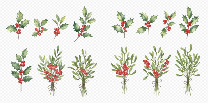 Watercolor illustrations of festive holly and mistletoe branches with red berries, perfect for Christmas and winter holiday designs.