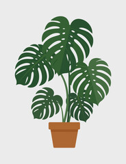 Obraz premium Displaying a thriving monstera plant in a rustic clay pot, this image highlights the beauty of indoor greenery, promoting a sense of tranquility and connection with nature.