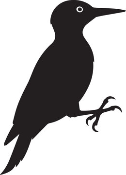 black woodpecker silhouette profile clip art preview