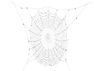 Intricate dew droplet covered spiderweb against a dark background