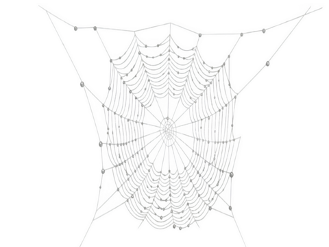 Intricate dew droplet covered spiderweb against a dark background