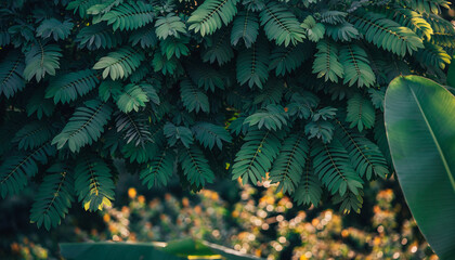 Lush green foliage displaying a variety of textured leaves in soft, dappled sunlight