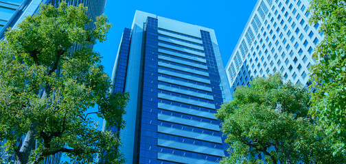 オフィスビル　緑の木