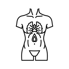 Sleek anatomical outline highlighting lungs and reproductive system, ideal for educational materials, medical publications, and healthcare awareness campaigns