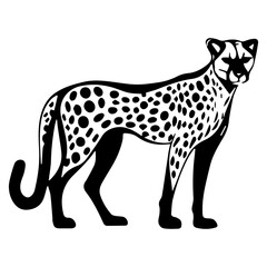 Fototapeta premium Cheetah Illustration