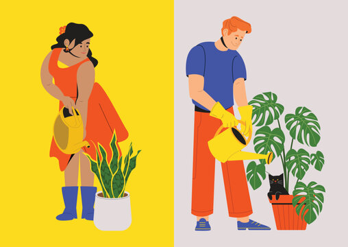 People Gardening at Home. Woman Watering and Nurturing Snake Plant. Man Watering and Nurturing Monstera Plant. 