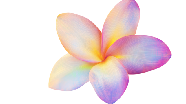 Plumeria flower with soft tropical petals bright fragrant blossom delicate floral detail vivid exotic bloom beauty isolated on white background