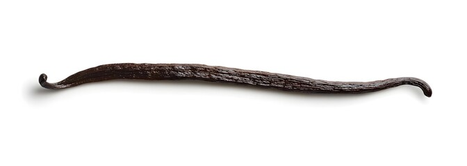 Single Vanilla Bean on White Background
