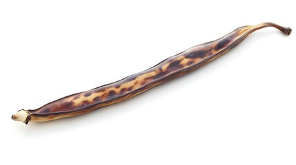Single Dried Vanilla Bean on White Background