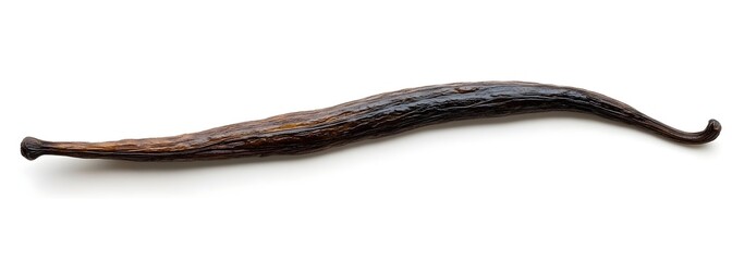 Single Dried Vanilla Bean Pod on White Background