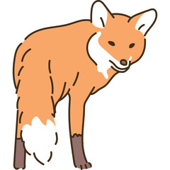 Stylized Orange Fox with White Accents Standing Against a Transparent Background Simple Illustration of a Wild Animal Wildlife Concept