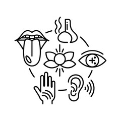 Explore the five senses with taste, smell, touch, sight, and hearing in this modern sensory experience, perfect for education and learning materials