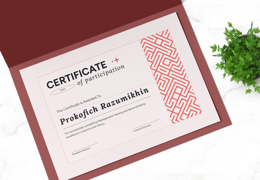 Certificate Award Modern Template Clean Minimal Design