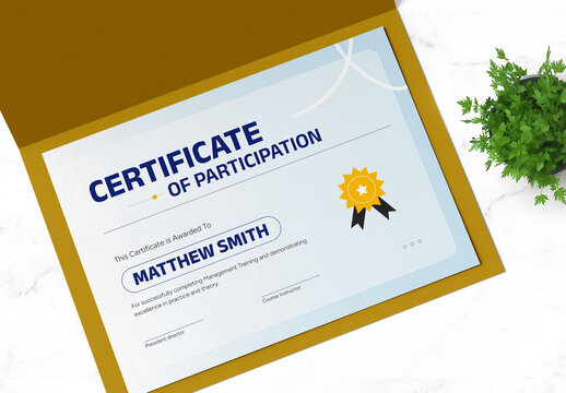 Modern Certificate of Participation Template for Professional Awards