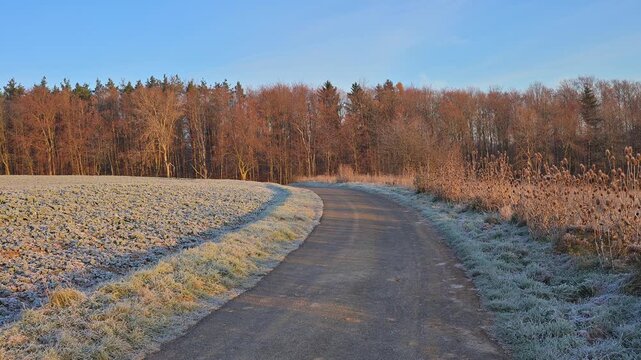 Ein frostiger Weg f&uuml;hrt durch eine winterliche Landschaft unter einem klaren, blauen Himmel, Seckmauern, L&uuml;tzelbach, Odenwald, Hessen, Deutschland