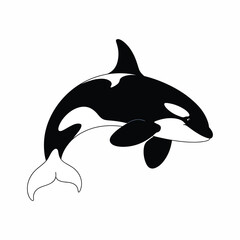 Black and white killer whale orca leaping out of water simple cartoon illustration marine mammal ocean