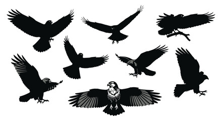 Majestic eagle silhouettes in various flight and perching poses