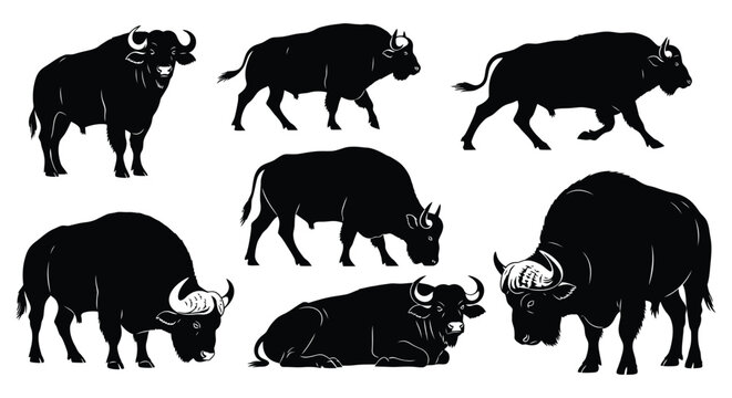 Wild buffalo and bison silhouettes in different poses
