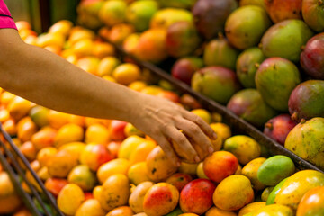 Mango fruit in the traditional Colombian market - Mangifera indica