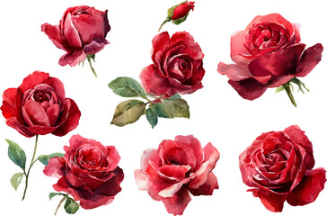 Fototapeta premium seamless pattern with roses