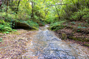 Autumn in nature, a small shallow stream rushes to the big water through the forest