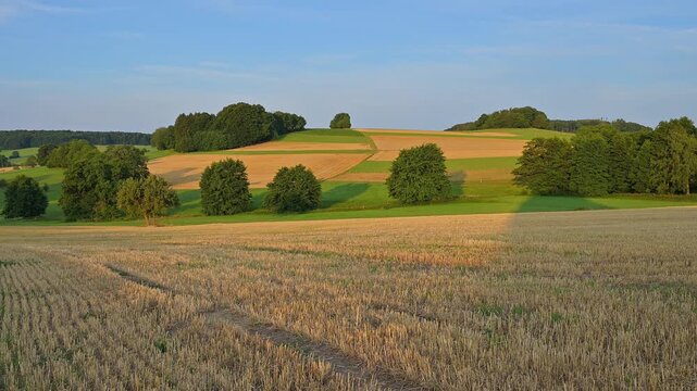 Abgeerntete Getreide Felder mit verstreuten B&auml;umen und sanft geschwungenen H&uuml;geln, Laudenau, Reichelsheim, Odenwald, Hessen, Deutschland, Europa