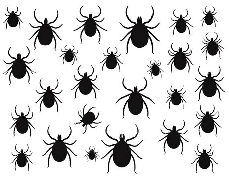 Silhouettes of numerous parasitic arachnids, black on white background, varying sizes