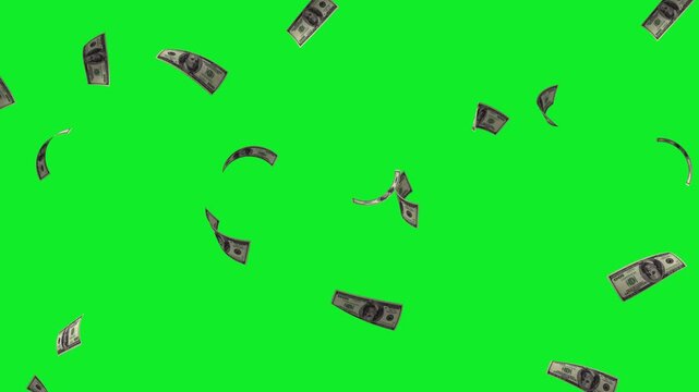 economic growth and profit money rain effect. 3d falling cash currency isolated on green. falling greenbacks for business and finance video editing. seamless loop of falling cash on green screen. 