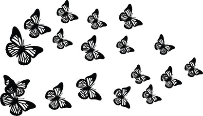 Fototapeta premium Butterfly silhouette collection, black and white butterflies, flying insects, decorative pattern, nature design, vector art, motion, symmetry, minimal, elegant