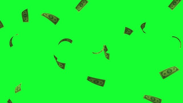 3d falling cash currency isolated on green. falling greenbacks for business and finance video editing. seamless loop of falling cash on green screen. economic growth and profit money rain effect.