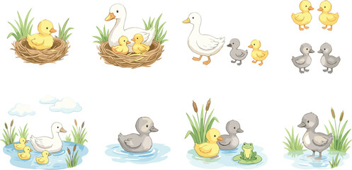 Duck, duckling, nest, pond, lily pad, frog, cattails, nature, cartoon, vector, animal, family, walk, swim, gray, yellow, cute, illustration, wildlife, parenting