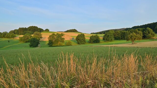 Landschaft mit sanften H&uuml;geln und &uuml;ppigen Feldern unter klarem Himmel, Laudenau, Reichelsheim, Odenwald, Hessen, Deutschland, Europa