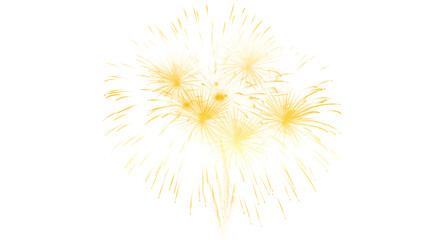 Obraz premium Banner Golden Firework celebrate anniversary happy new year 2026