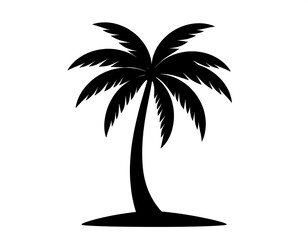 Silhouette of a black palm tree on a white background
