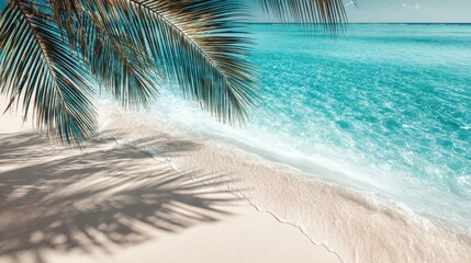 Gentle waves roll onto a pristine sandy beach while palm tree shadows dance on the shore. The vibrant blue water reflects the clear sky creating a serene tropical escape.