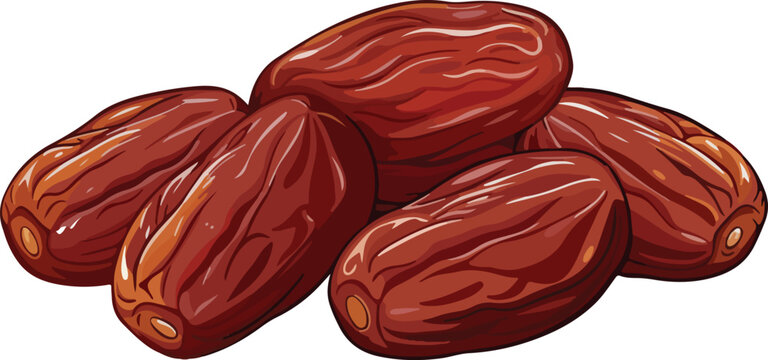 Pile of delicious and sweet dates isolated on vector art