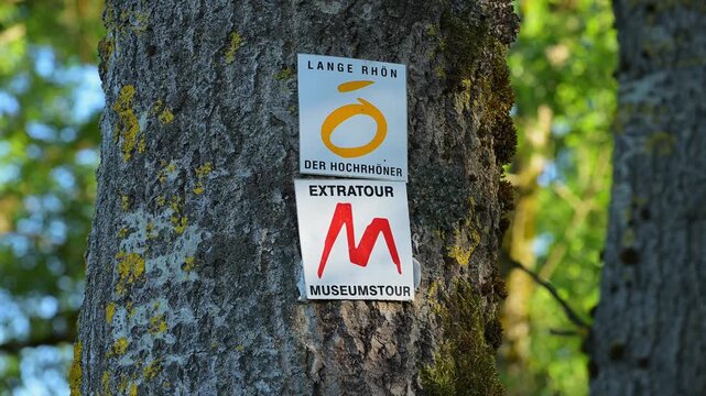 Schilder an einem Baumstamm in einem Wald, umgeben von gr&uuml;nen Bl&auml;ttern, Fladungen, Frankenheim, Hohe Rh&ouml;n, Rh&ouml;n, Hessen, Th&uuml;ringen, Bayern, Deutschland, Europa