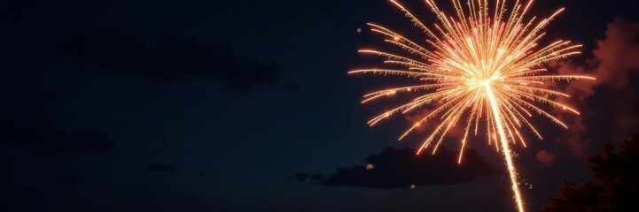 Golden firework bursts, glittering trails against inky black night sky , gold, stars, bright