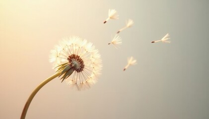 Pale neutral backdrop, ethereal dandelion seeds gently drift , ivory, neutral