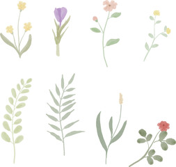 set of floral watercolor for design, poster, wedding concept, greeting card, invitation design and decoration