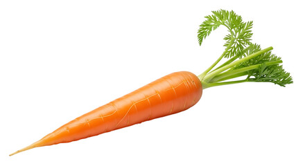 Fresh and vibrant carrot with green leaves against black background image