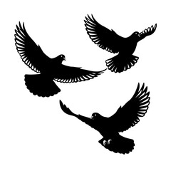 Flying doves silhouettes vector illustration