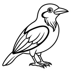 Fototapeta premium sketch of a bird