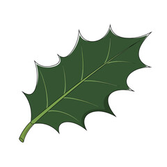 Naklejka premium Holly Leaf Illustration: A vibrant illustration of a single holly leaf, showcasing its distinctive spiky edges and lush green color, perfect for holiday-themed designs.