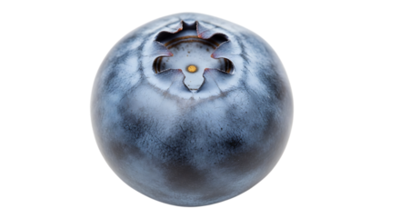 Single perfect blueberry on a black background with amazing detail