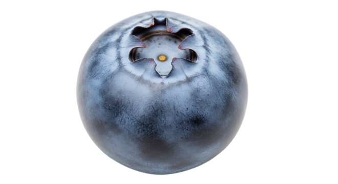 Single perfect blueberry on a black background with amazing detail