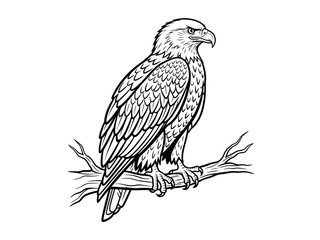 Detailed Eagle Vector Art Side Profile Vector Illustration, Scalable Design